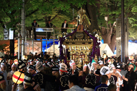 2013くらやみ祭り「神輿渡御」2