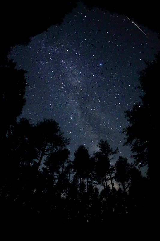 ペルセウス座流星群