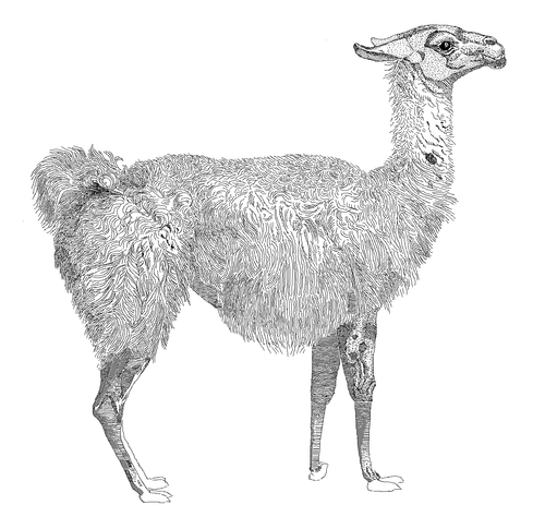 Perl 引数のリストを「 可変長 」として扱う(0x34)