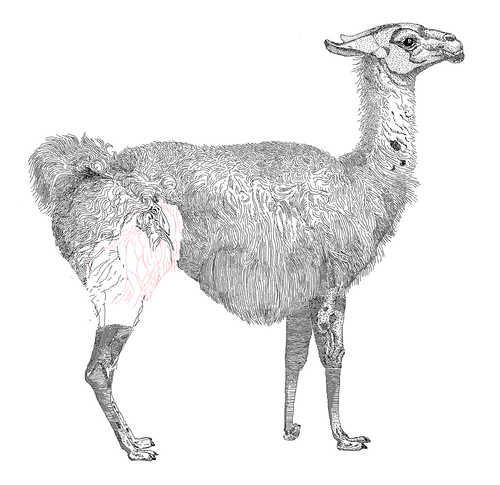 Perl 「 正規表現 」: m// パターンのデリミタ (0x62)