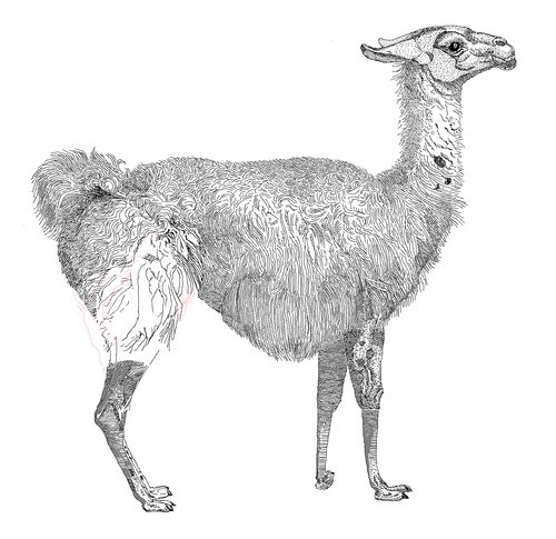 Perl 「 正規表現 」: 結合演算子 ( =~ ) (0x6a)