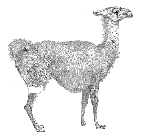 Perl 「 正規表現 」: s/// デリミタを変更する (0x75)