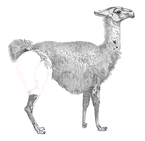 Perl 「 正規表現 」: s/// 大小文字を操る ( \U, \u, \L, \l, \E ) (0x78)