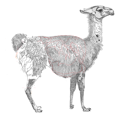 Perl 「 モジュール 」 CGI.pm メソッド url() のパラメータまとめ (0xe1) Perl 「 モジュール 」 CGI.pm メソッド url() のパラメータまとめ (0xe1)