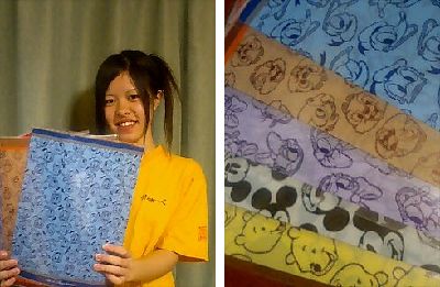 愛しのディズニーランド~~~!!