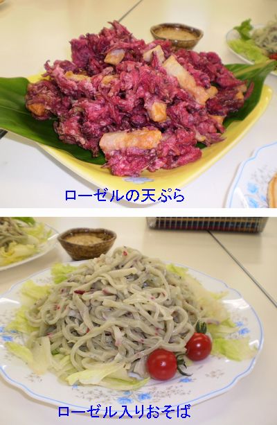 ローゼルシフォンケーキ★