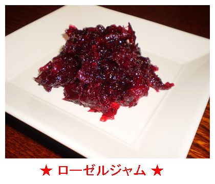 これがローゼル!!