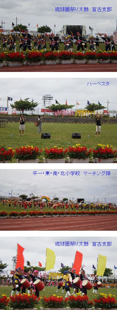 昨日のトライアスロン