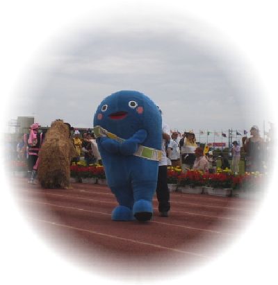 昨日のトライアスロン