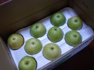 嬉しい贈り物