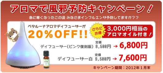 アロマで風邪予防!ディフューザー20パーセント割引!