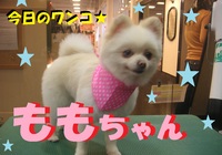 2012年04月22日