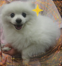 2012年04月30日