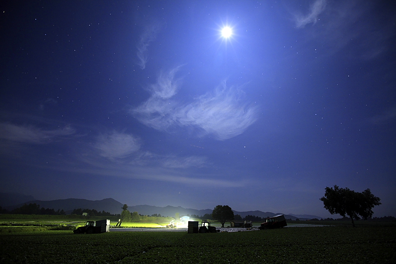 月夜に照らされて