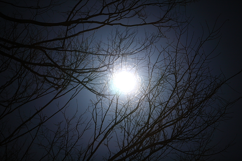 Blue Moon