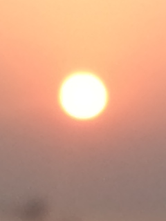 2014年