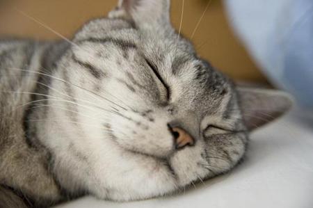 闇夜のできごと、、、 闇夜のできごと、、、