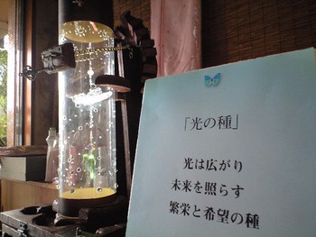 作品への想い