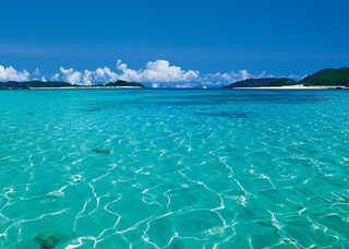 そうだ 海に行こう!