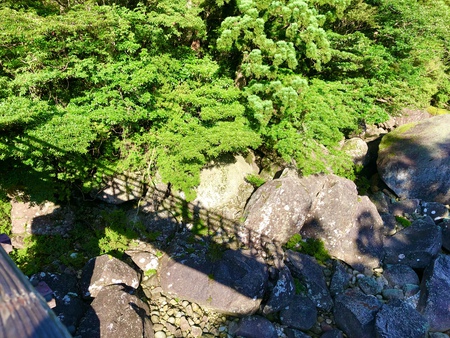 【屋久島 縄文杉へ】✨ 【屋久島 縄文杉へ】✨