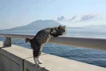 頭の中を形にする♫