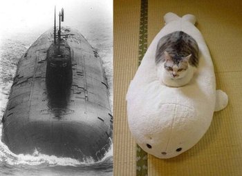 世界を恐怖に陥れる、、