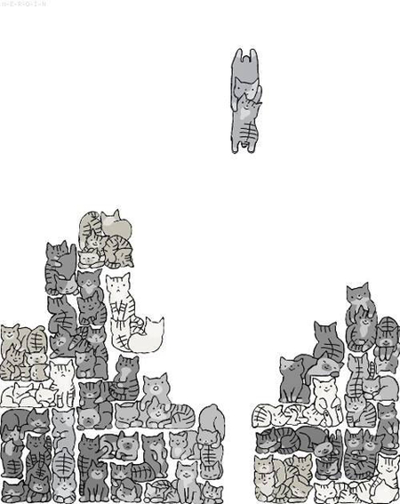 癒しの写真