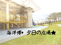 海洋博・夕日の広場★
