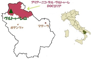 リコス アリアーニコ・デル・ヴルトゥーレ 2009 DOC リコス アリアーニコ・デル・ヴルトゥーレ 2009 DOC