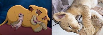 ディズニーの名シーン♫