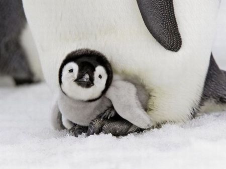 癒されます☆