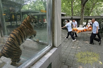 ちょう癒される 動物達の写真集☆