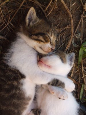 キスシ〜ン☆