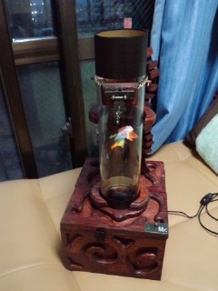 妖精☆