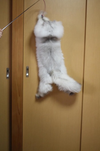 空を飛ぶ☆