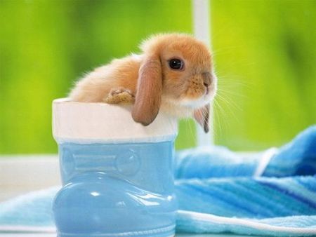 癒されます☆