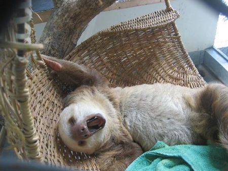 可愛くて、、、眠い♫