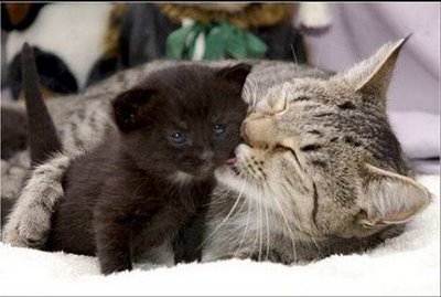 キスシ〜ン☆