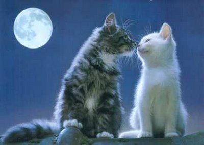 キスシ〜ン☆