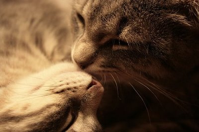 キスシ〜ン☆