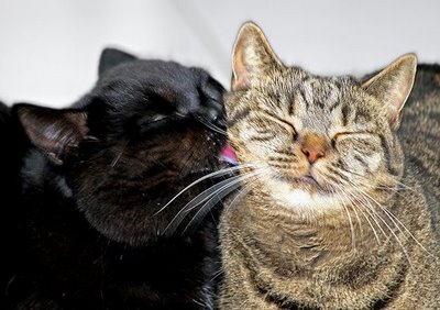 キスシ〜ン☆