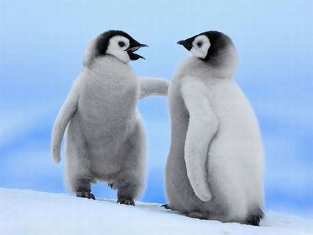 癒されます☆