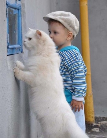動物の世界☆