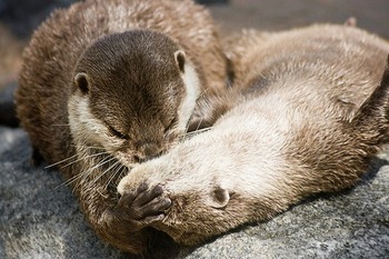 キスの仕方 教えます☆