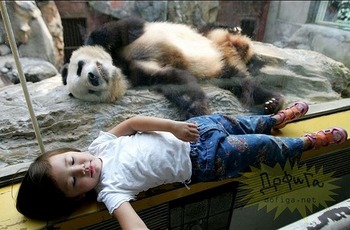 ちょう癒される 動物達の写真集☆