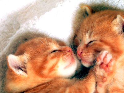キスシ〜ン☆