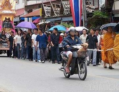 犬と バイクと 飼い主と