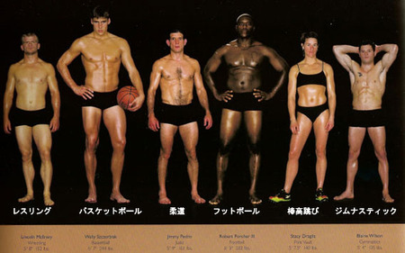肉体 スポーツ