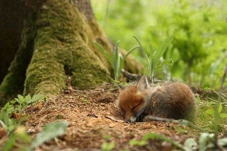 癒されます☆