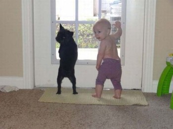 動物の世界☆
